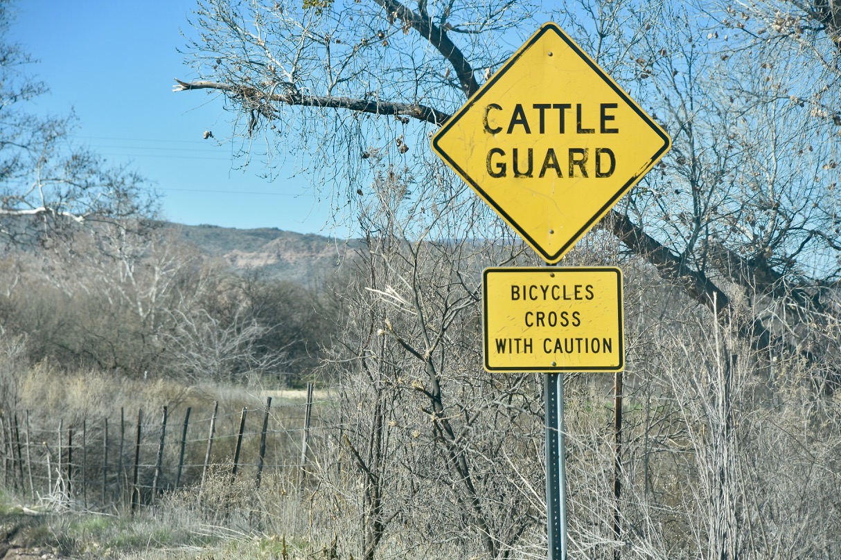 Bicycles crossing